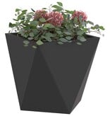 VidaXL Plantenbak 2 pcs Zwart 30 x 30 x 30 cm Staal