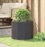 VidaXL Plantenbak Zwart 60 x 60 x 50 cm Staal