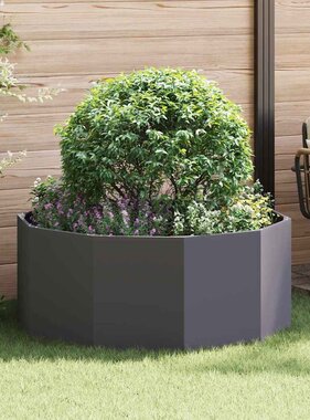 VidaXL Plantenbak Zwart 120 x 120 x 50 cm Staal