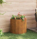 VidaXL Plantenbak Roestig 60 x 30 x 50 cm Cortenstaal