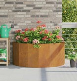 VidaXL Plantenbak Roestig 120 x 60 x 50 cm Cortenstaal