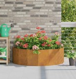 VidaXL Plantenbak Roestig 120 x 60 x 35 cm Cortenstaal