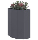 VidaXL Hoek Plantbak Antraciet 30 x 30 x 50 cm Staal