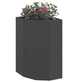 VidaXL Hoek Plantbak Zwart 30 x 30 x 50 cm Staal