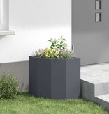 VidaXL Hoek Plantbak Antraciet 45 x 45 x 50 cm Staal