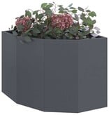 VidaXL Hoek Plantbak Antraciet 60 x 60 x 50 cm Staal
