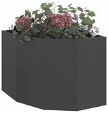 VidaXL Hoek Plantbak Zwart 60 x 60 x 50 cm Staal