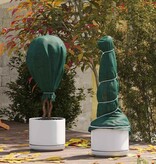 VidaXL Vorstbescherming Plantvlies Groen 100 x 1,6 m Niet-geweven Stof