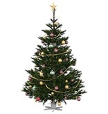 VidaXL Kerstboomstandaard 1.73 Wit 49 x 49 x 15,5 cm Staal