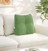 VidaXL Rugkussen Lichtgroen 45 x 24 x 50 cm Fluweel