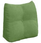 VidaXL Rugkussen Lichtgroen 45 x 24 x 50 cm Fluweel