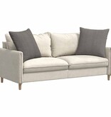 VidaXL Sofa Kussens 2 pcs Lichtgrijs 60 x 60 cm Katoen Stof