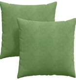 VidaXL Sofa Kussens 2 pcs Lichtgroen 60 x 60 cm Katoen Stof