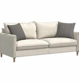 VidaXL Sofa Kussens 2 pcs Lichtgrijs 45 x 45 cm Katoen Stof