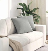 VidaXL Sofa Kussens 2 pcs Lichtgrijs 45 x 45 cm Stof