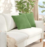 VidaXL Sofa Kussens 2 pcs Lichtgroen 45 x 45 cm Katoen Stof