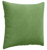 VidaXL Sofa Kussens 2 pcs Lichtgroen 45 x 45 cm Katoen Stof