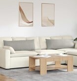 VidaXL Sofa Kussens 2 pcs Lichtgrijs 120 x 40 cm Stof