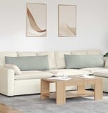 VidaXL Sofa Kussens 2 pcs Lichtgrijs 120 x 40 cm Katoen Stof