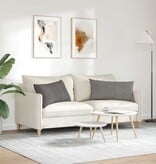 VidaXL Sofa Kussens 2 pcs Lichtgrijs 80 x 40 cm Katoen Stof