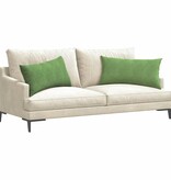 VidaXL Sofa Kussens 2 pcs Lichtgroen 80 x 40 cm Katoen Stof