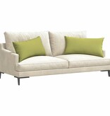 VidaXL Sofa Kussens 2 pcs Lichtgroen 80 x 40 cm Stof