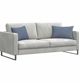 VidaXL Sofa Kussens 2 pcs Blauw 60 x 40 cm Katoen Stof