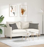 VidaXL Sofa Kussens 2 pcs Lichtgrijs 60 x 40 cm Katoen Stof