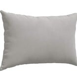 VidaXL Sofa Kussens 2 pcs Lichtgrijs 60 x 40 cm Stof