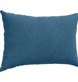 VidaXL Sofa Kussens 2 pcs Blauw 60 x 40 cm Katoen Stof