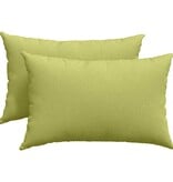 VidaXL Sofa Kussens 2 pcs Lichtgroen 60 x 40 cm Stof