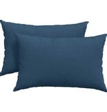 VidaXL Sofa Kussens 2 pcs Blauw 60 x 40 cm Stof