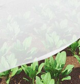 VidaXL Insecten Net Wit 3 x 5 m HDPE