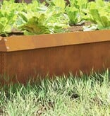 VidaXL Slakkenhekje Roestig 50 x 3,5 x 25 cm Cortenstaal