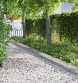 VidaXL Gazonranden 20 pcs Zilver 103 x 0,05 x 22 cm