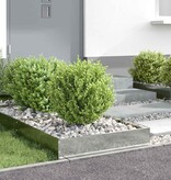 VidaXL Tuinrand 6 pcs Zilver 60 x 60 x 13 cm Gegalvaniseerd staal