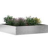 VidaXL Tuinrand 6 pcs Zilver 60 x 60 x 13 cm Roestvrij staal