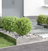 VidaXL Tuinrand 6 pcs Zilver 60 x 60 x 13 cm Roestvrij staal