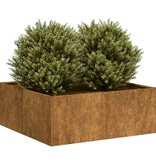 VidaXL Plantenbak roestig 80x80x30 cm weervast staal