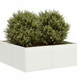 VidaXL Plantenbak 80x80x30 cm staal wit
