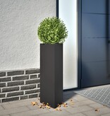 VidaXL Plantenbakken 2 st driehoek 30x26x75 cm staal zwart