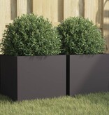 VidaXL Plantenbakken 2 st 32x30x29 cm staal zwart