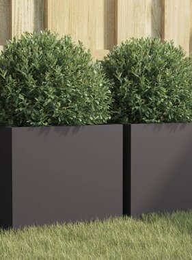 VidaXL Plantenbakken 2 st 32x30x29 cm staal zwart