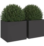 VidaXL Plantenbakken 2 st 32x30x29 cm staal zwart