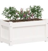 VidaXL Plantenbakken 2 st cm massief grenenhout wit