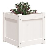 VidaXL Plantenbak 40x40x40 cm massief grenenhout wit