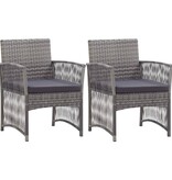 VidaXL Tuinstoelen met kussens 2 st poly rattan antraciet