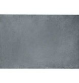 VidaXL Nep Konijnenbont Tapijt Antraciet 120 x 170 cm Polyester