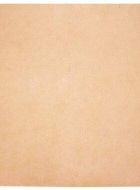 VidaXL Nep Konijnenbont Tapijt Taupe 200 x 200 cm Polyester