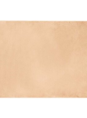 VidaXL Nep Konijnenbont Tapijt Taupe 120 x 170 cm Polyester